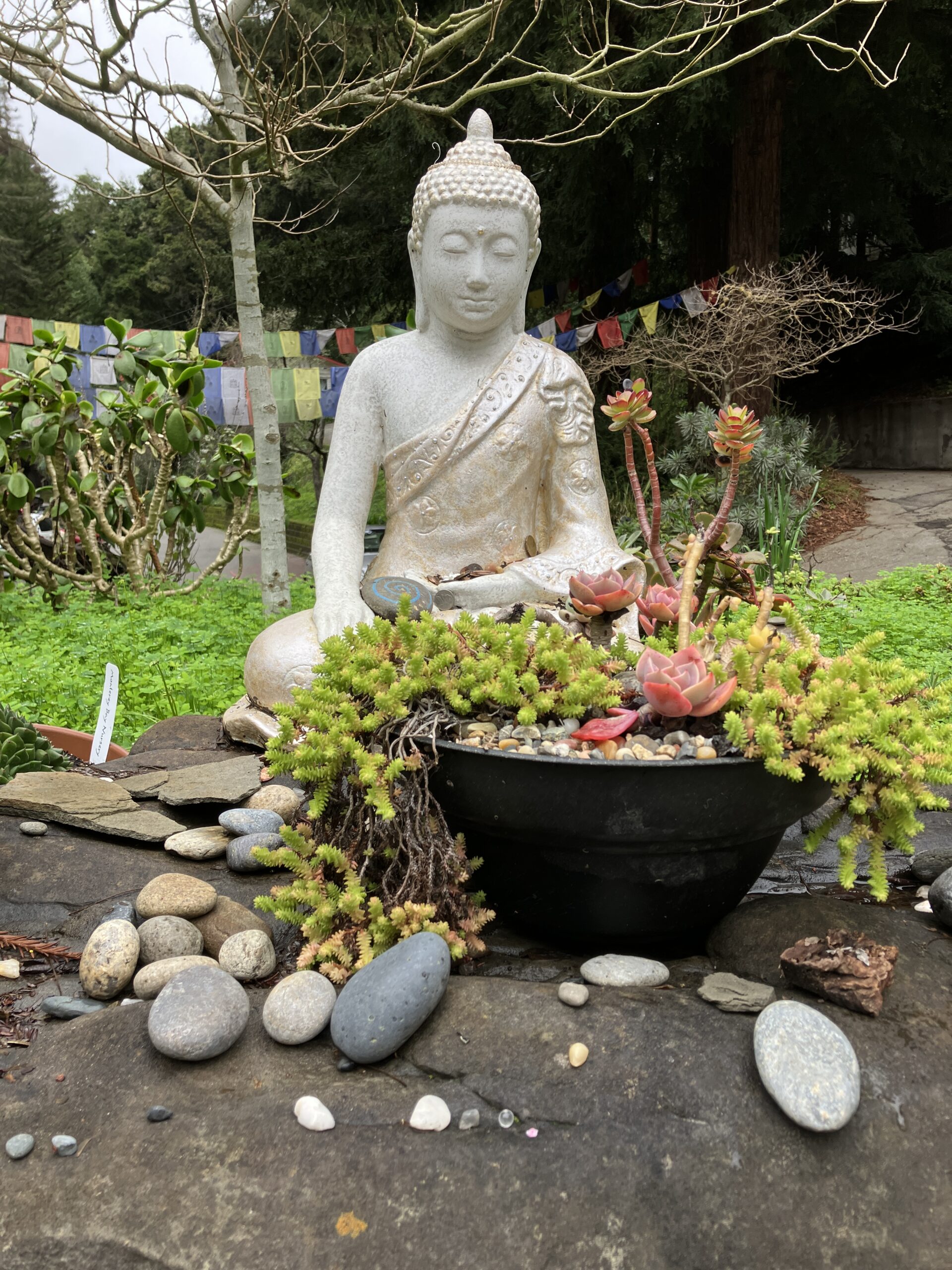 Meditating Buddha